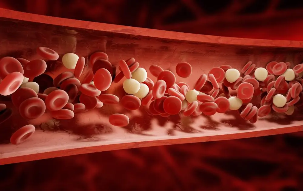 The Symptoms and Causes of Poor Blood Circulation