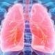 what are the warning signs of a pulmonary embolism