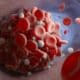 blood clot forming inside a blood vessel