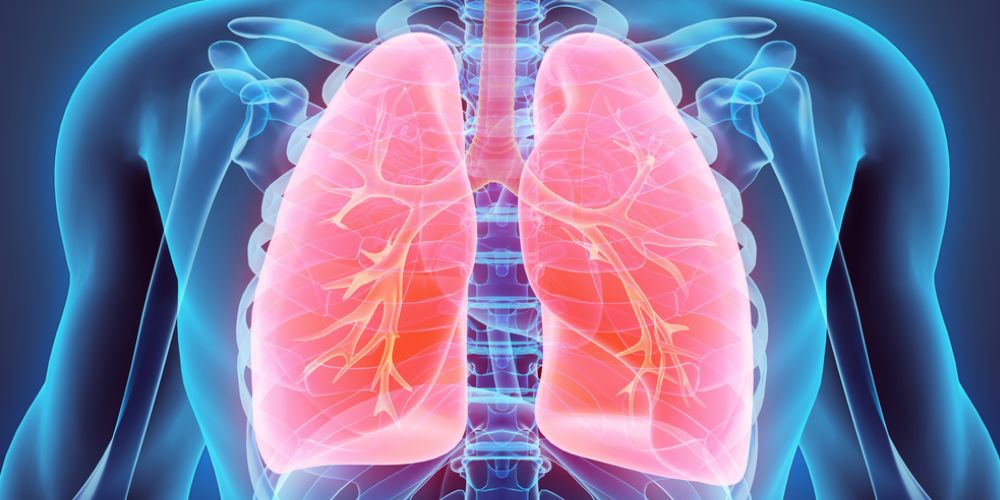 Read more about the article What Are The Warning Signs Of A Pulmonary Embolism
